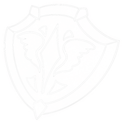 Spirit Shield Icon